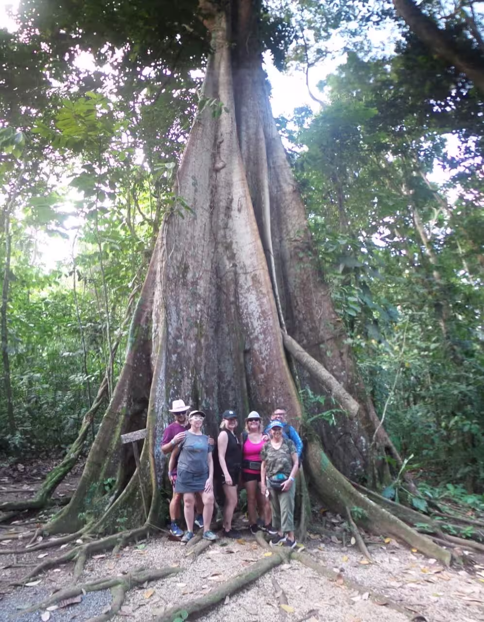 Travelers standing beside a giant rainforest tree in Costa Rica